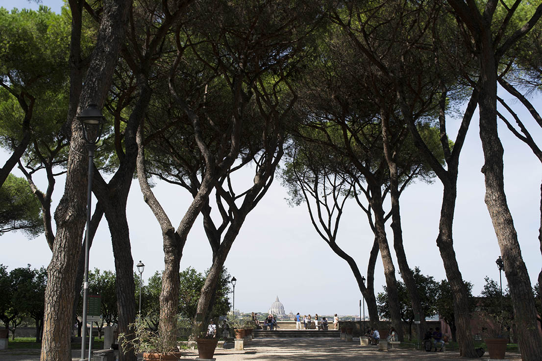 Viajes y fotos. Viaje a San juan Argentina, el valle de la luna.